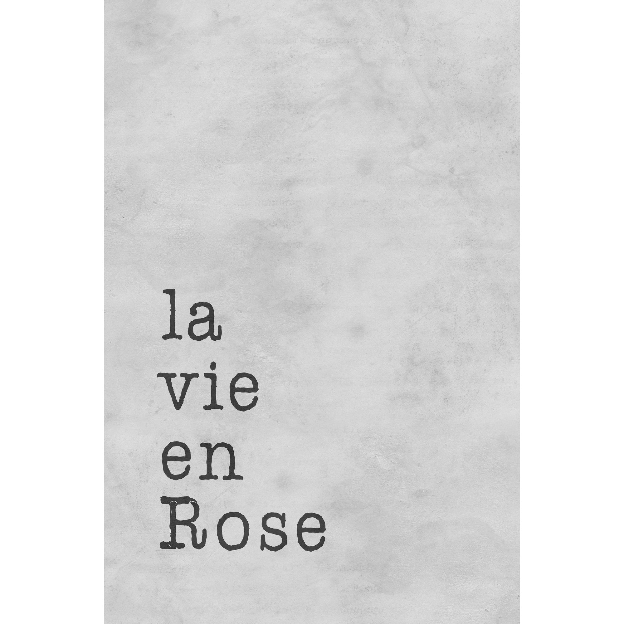 La Vie En Rose Painting Print on Wrapped Canvas