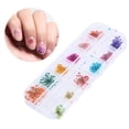 thumbnail image 4 of 12 colores de flores secas naturales para uñas acrílicas de gel UV, diseño de uñas, decoración DIY, 4 of 12
