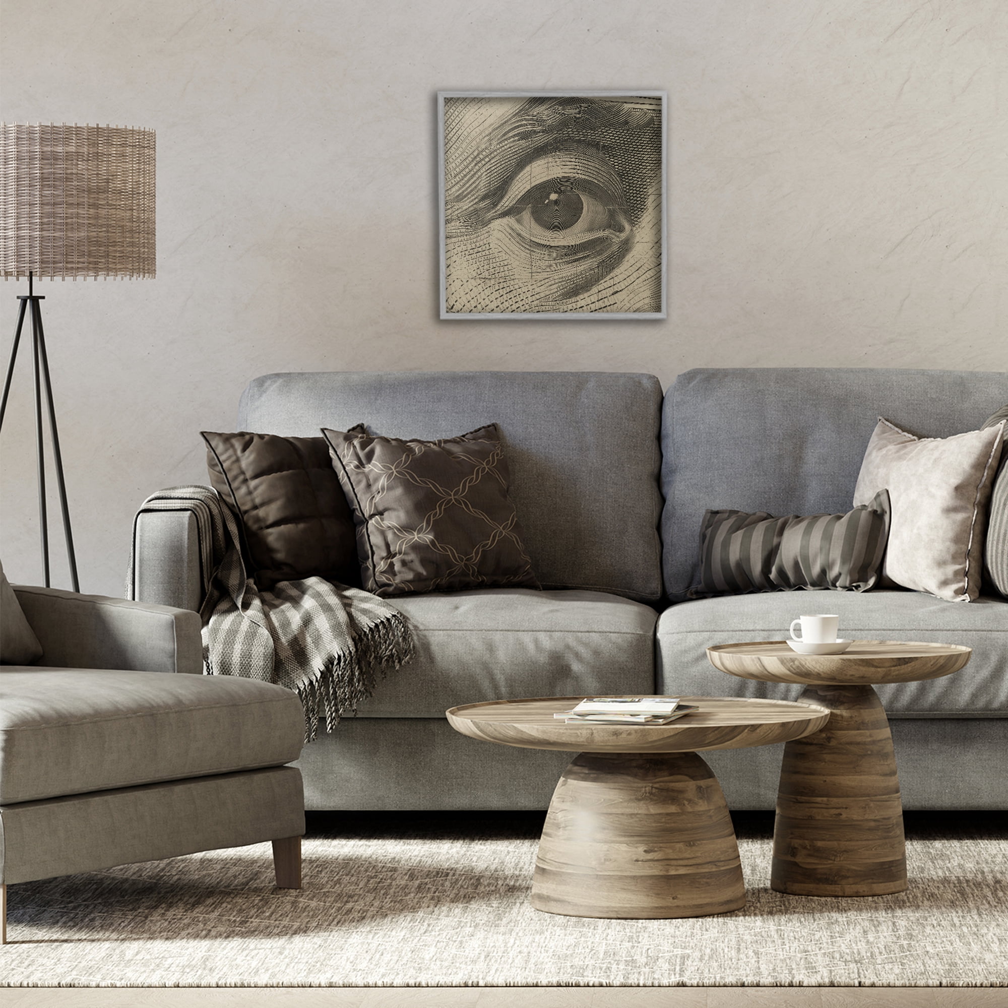 Stupell Industries Franklin's Gaze Eye Gray Framed Giclee Art, design by Svetlana Aleynikova