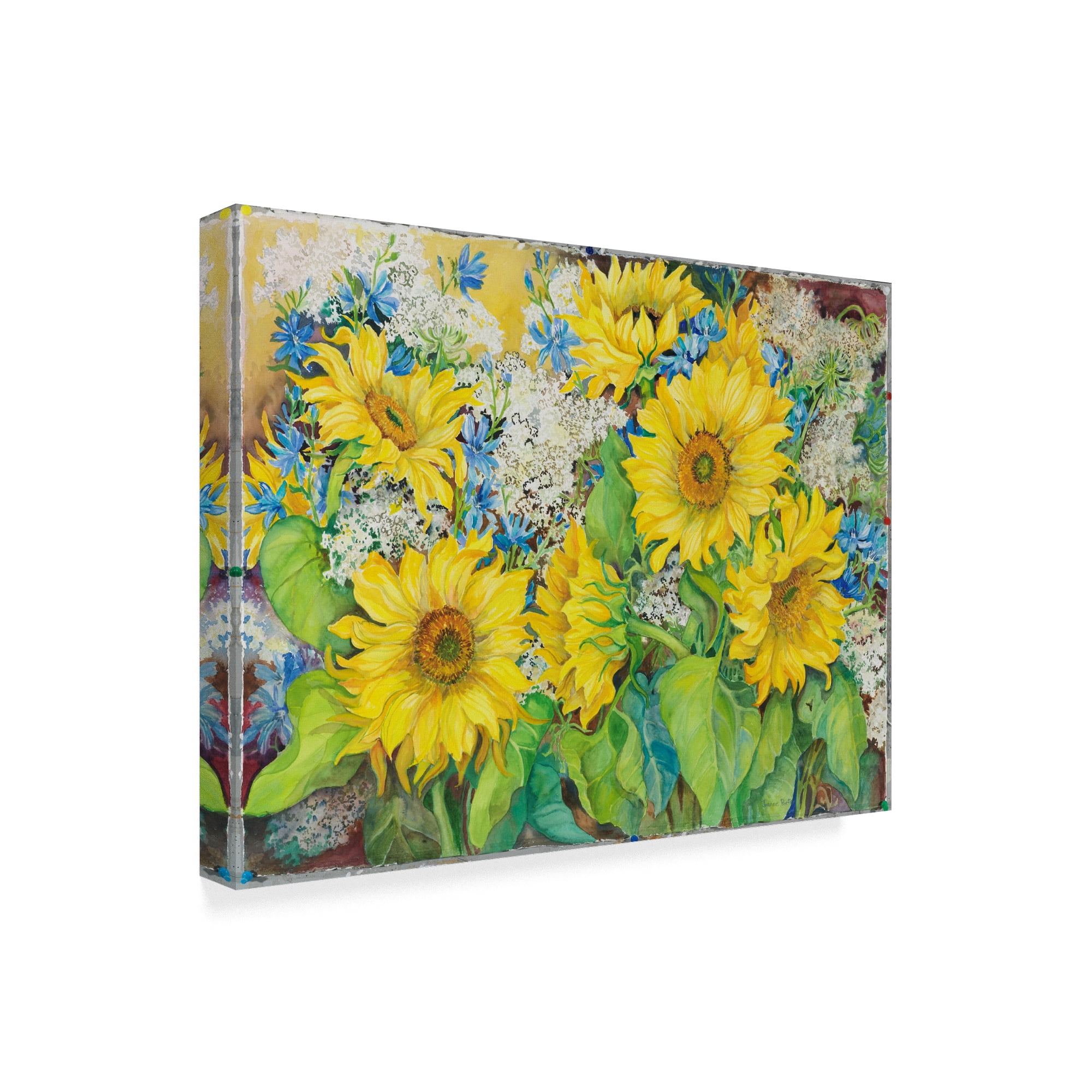 Trademark Fine Art 'Here Comes The Sun' Canvas Art by Joanne Porter