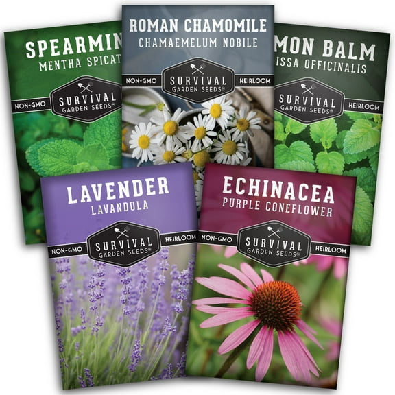 Herbal Tea Seeds 5 Pack - Lavender, Mint, Echinacea, Lemon Balm, Chamomile - Full Sun Perennial Herb