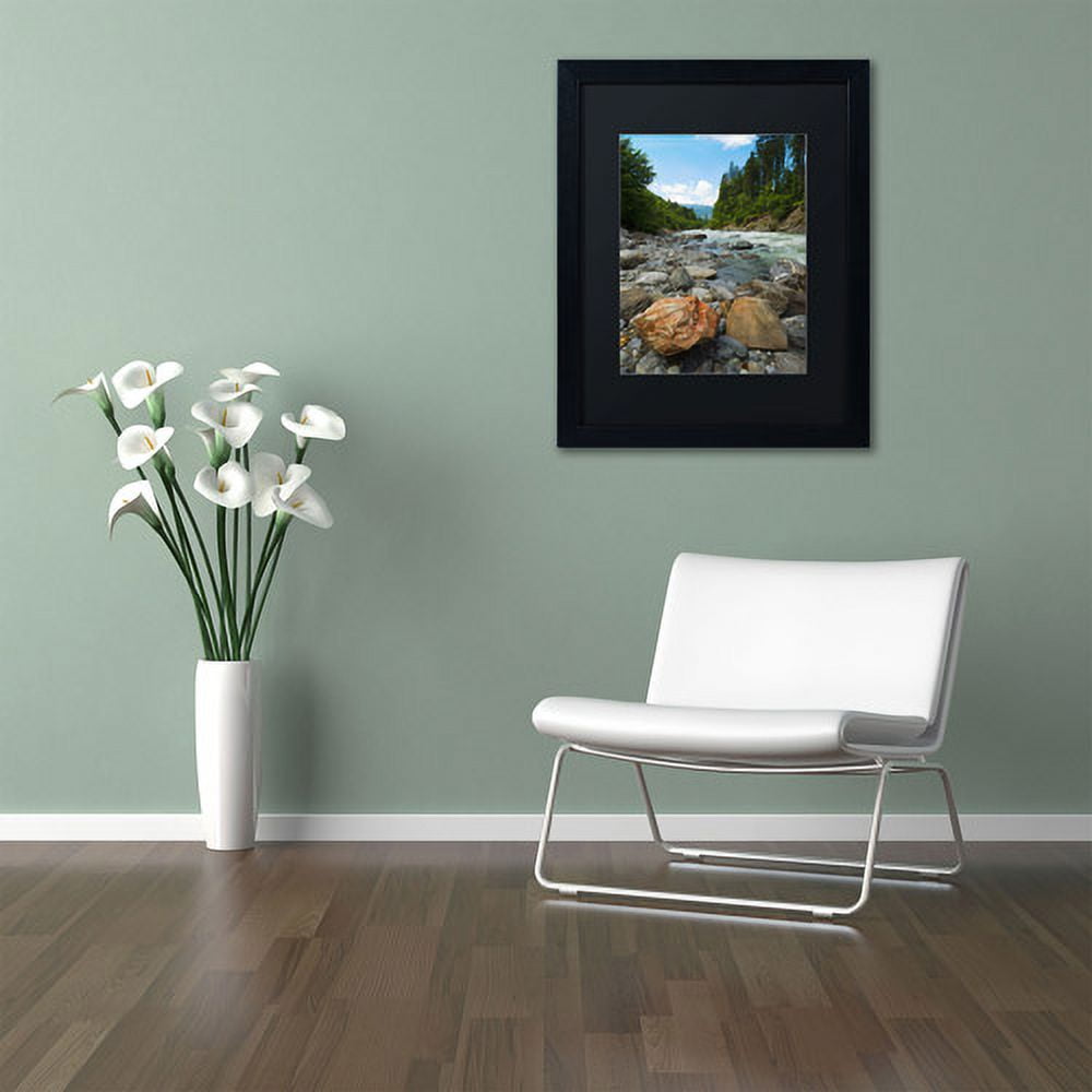 Trademark Fine Art "Isolated" Canvas Art by Philippe Sainte-Laudy, Black Matte, Black Frame