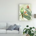 thumbnail image 3 of Trademark Fine Art 'Avian Paradise Iv' Canvas Art by Grace Popp, 3 of 3