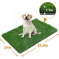 thumbnail image 3 of 33.2in x 21in Replacement Artificial Grass Puppy  Pads,  Absorbency Portable  Potty Grass, Fit 35x23in Potty Tray(1 ), 3 of 6