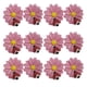 thumbnail image 1 of Curtain Hooks Resin 12Pcs Pink for Home Use Creative Ladybird Flower, 1 of 4