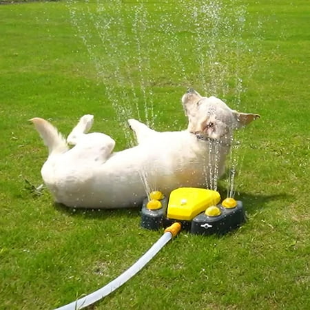 Outdoor Dog Water Fountain – Automatic Paw Activated Pet Dog Step on Drinking Pet Dispenser Yard Sprinkler Toy | Walmart Canada