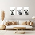 thumbnail image 4 of ZHONGYUTONG Highland Cow Canvas Art Prints 3 Pieces Black White Animal Wall Pictures (12"x16"x3PCS), 4 of 7