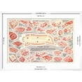 thumbnail image 5 of Art.com Pork Cuts Chart Art Print, White Frame Wall Art, 29" x 21", 5 of 5
