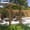 Brown + Wood#431, variant on Freestanding Raised Garden Bed with Trellis for Climbing Plants, Brown Wood-Plastic Composite Planter Box with Drainage Gap, 28.25 x 15 x 59 for Outdoor Patio Deck