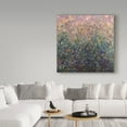 thumbnail image 3 of Trademark Fine Art 'Hazy Memories' Canvas Art by James W. Johnson, 3 of 3