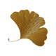 thumbnail image 4 of Escultura de pared Hojas de ginkgo Soledad Decoración de pared de hierro Grande, 4 of 10
