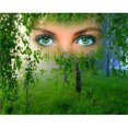 thumbnail image 1 of Cuadros Decorativos 5D DIY Diamante Pintura Full Square Drill Woods Lady Eyes Decoración de pared Rhinestone Ehuebsd Nuevos Originales, 1 of 8