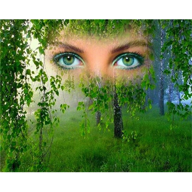 Cuadros Decorativos 5D DIY Diamante Pintura Full Square Drill Woods Lady Eyes Decoración de pared Rhinestone Ehuebsd Nuevos Originales