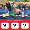 thumbnail image 3 of Warren London Dog Sunscreen | Aloe Vera Leave In Conditioner with Sun Protection for Dogs, Puppies, & Pets, 3 of 7