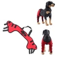 thumbnail image 4 of Dog Rear Leg Braces, Hock Hind Professional Pet Knee Pads  For Surgery Healing For Injury For Prevent Dog Licking Wounds For Sprain Protection HJ26 Red,HJ27 Blue, 4 of 8