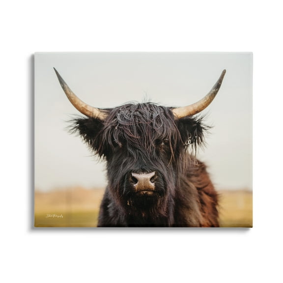 Stupell Industries Black Highland Cow Portrait Animals & Insects Photography Gallery Wrapped Canvas Print Wall Art, 20 x 16