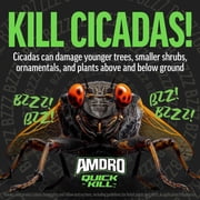 Amdro Quick Kill Outdoor Insect Killer Concentrate 32oz 2 Pack Bundle