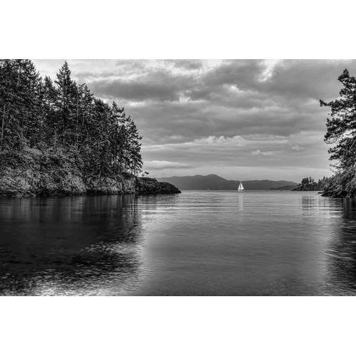 Marmont Hill "Sail Away" Painting Print on Canvas