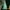 Transparent-B, variant on Beautynvta Clearance Christmas Tabletop Tree Light, Mini Artificial Plastic Crystal Christmas Tree Night Light Desktop Decorative Lamp for Holiday Party Gifts Home Decor, 2.2" x 4.1", Transparent