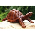 thumbnail image 6 of 12" Turtle Statue Hand Carved Sculpture Wood Home Decor Accent Figurine Handcrafted Handmade Seaside Tropical Nautical Coastal, 6 of 6