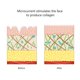 thumbnail image 4 of masajeador facial recargable por USB/herramienta para esculpir la cara/dispositivo de estiramiento facial, antienvejecimiento, estiramiento y rejuvenecimiento de la piel ZefeiWu 9024715116543, 4 of 5