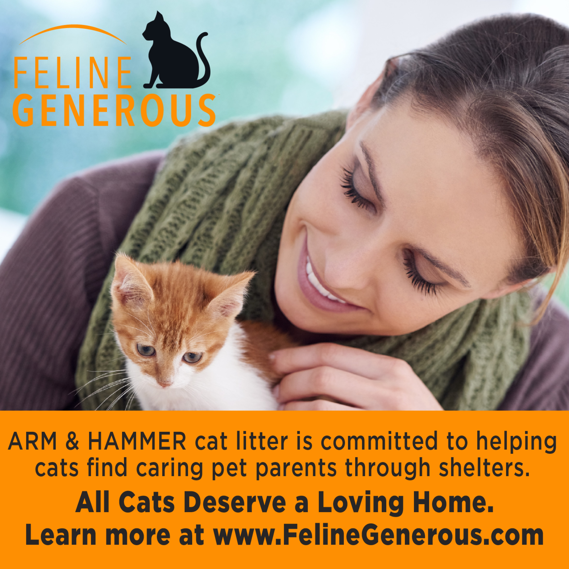 ARM & HAMMER Slide Multi-Cat Clumping Litter 19 lb photo 7