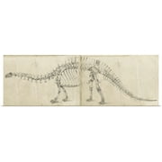 Great BIG Canvas | Rolled Ethan Harper Poster Print entitled Dinosaur Study I