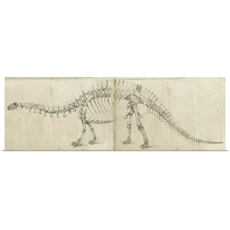 Great BIG Canvas | Rolled Ethan Harper Poster Print entitled Dinosaur Study I