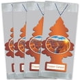thumbnail image 3 of Little Tree Air Freshener Assorted Scents 6 Pack, 3 of 3