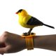 thumbnail image 5 of Control de voz de simulación Pájaro de un solo pájaro clip de dedo correa de reloj pájaro eléctrico, 5 of 5