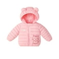 thumbnail image 4 of Esaierr Boys Girls Winter Coats down Outerwear for Kids Toddler 9M-5Y Cute Warm Cotton Coats down Baby Lightweight Winter down Jacket with Hoodie, 4 of 6