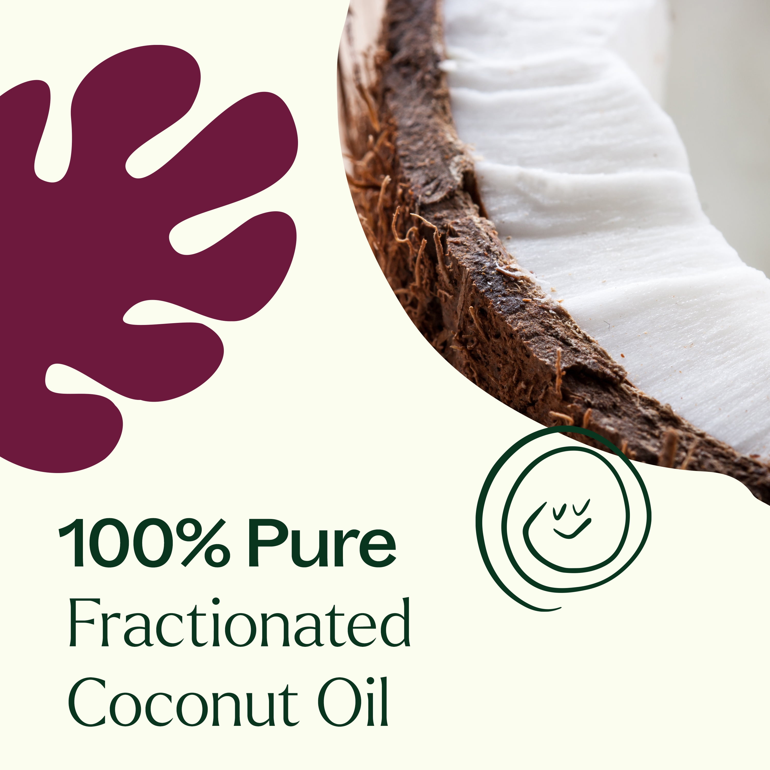 Plant Therapy Fractionated Coconut Oil for Skin, Hair, Body, Face, Diluted Essential Oils, 100% Pure, Natural Moisturizer, Massage & Aromatherapy for Men and Women Liquid Carrier Oil 16 oz
