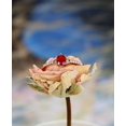 thumbnail image 3 of HeartsAndYou 1ct Natural Ruby & Diamond Ring Accent Solitaire 100% REAL 14k SOLID Rose Gold, 3 of 8