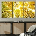 thumbnail image 3 of wall26 Canvas Print Wall Art Set Ground View of Yellow &amp; Green Autumn Trees Nature Wilderness Photography Realism Chic Scenic Relax/Calm Multicolor for Living Room, Bedroom, Office - 24"x36&, 3 of 5
