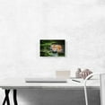 thumbnail image 2 of ARTCANVAS Tiger Swimming in Swamp Canvas Art Print - Size: 12" x 8" (0.75" Deep), 2 of 9