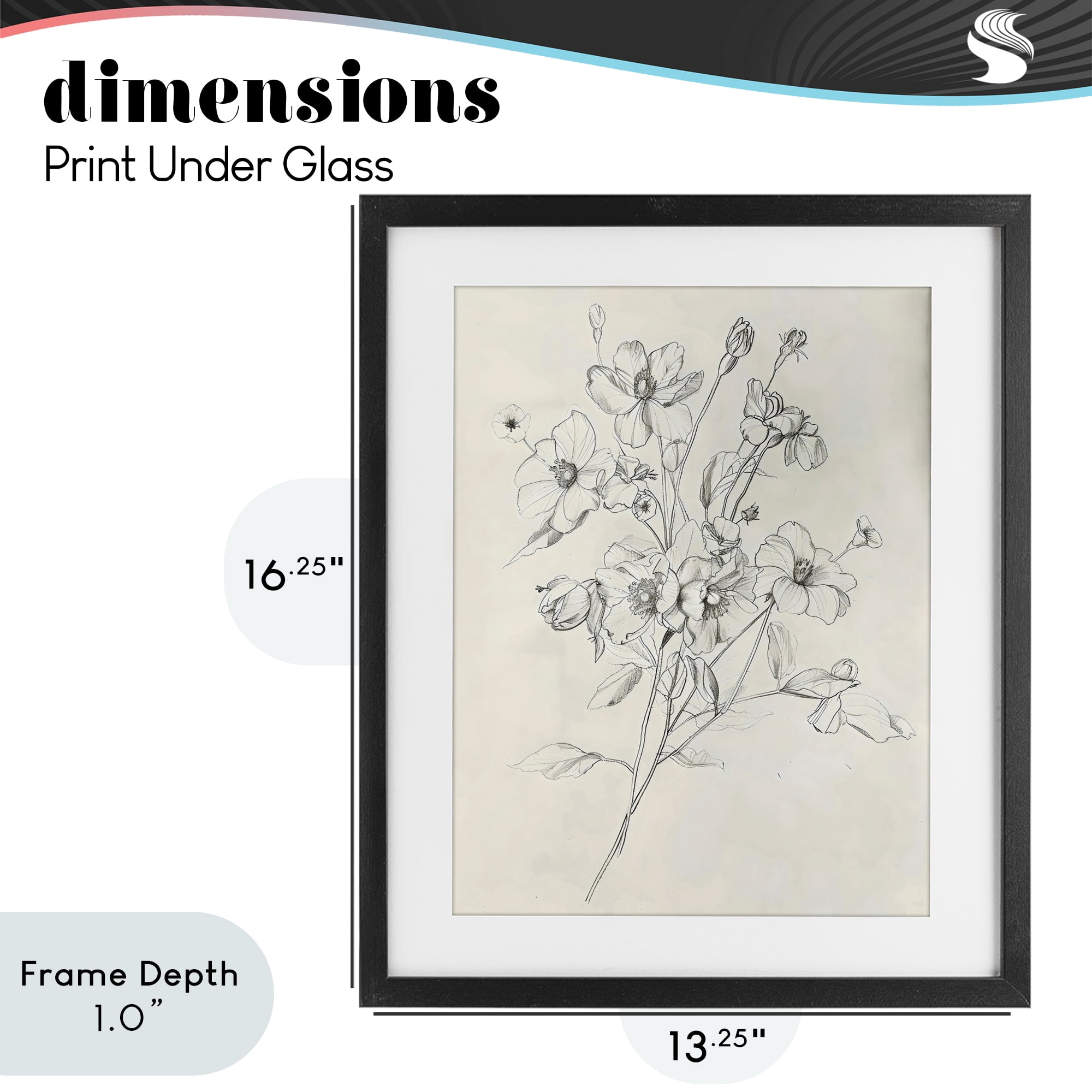 Stupell Industries Wildflower Outline Study Black Framed Print Under Glass, design by Creative Studio