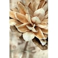thumbnail image 2 of Brown, Denise 13x18 Gold Ornate Wood Framed with Double Matting Museum Art Print Titled - Magnolia 1, 2 of 4