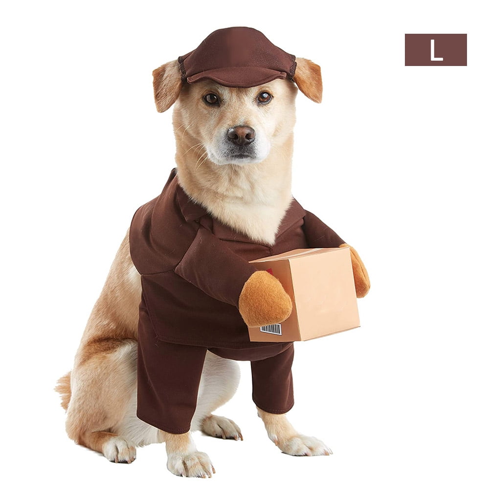 dog dressed as ups
