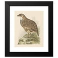 thumbnail image 2 of Theo van Hoytema 12x14 Black Modern Framed Museum Art Print Titled - Partridge (1878 - 1889), 2 of 5