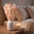 thumbnail image 6 of Cheapark 60 Pieces Bunny Tail Preserved Flowers Dried Flower Stems Decorative Florals for Vase Arrangement Home Decor Gift, 6 of 7