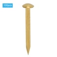 thumbnail image 4 of Wchiuoe Fastener, Sturdy Good Durability Round Head Nail, Easy Clean Can Be Used Alone For School Outdoor For Experiment, 4 of 8