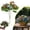 D, variant on Artificial Butterfly Flower Arrangement 11.4 Inch 3D Faux Floral Spray For Wedding Aisle Stage Event Decor