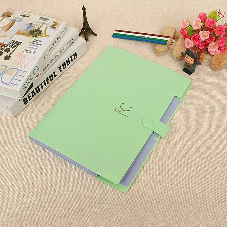 Expandable 5-Pocket Plastic File Folders and Document