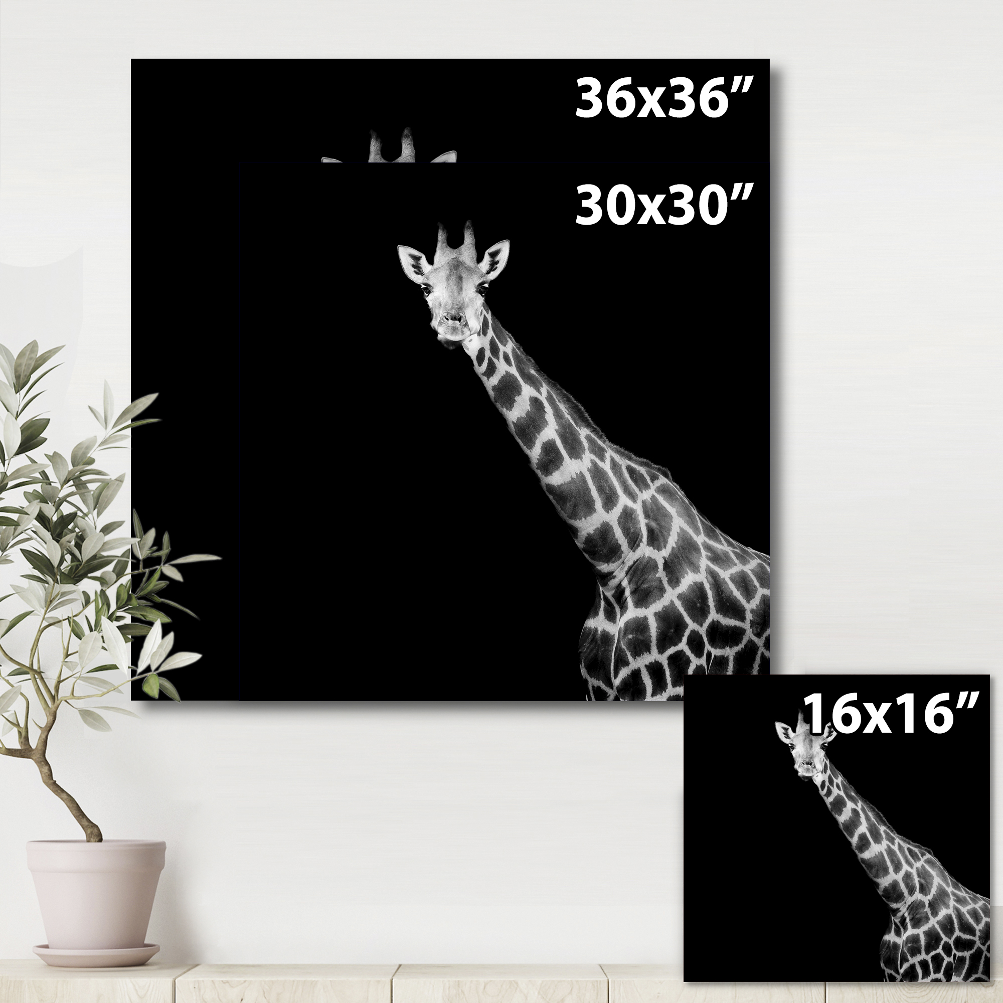 Designart ' Close Up Portrait Of A Giraffe On Black I ' Farmhouse Canvas Wall Art Print