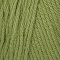 thumbnail image 2 of Bernat Super Value Yarn, Fern, 7oz(197g), Medium, Acrylic, 2 of 5