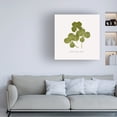 thumbnail image 3 of Grace Popp 'Pressed Clover II' Canvas Art, 3 of 3