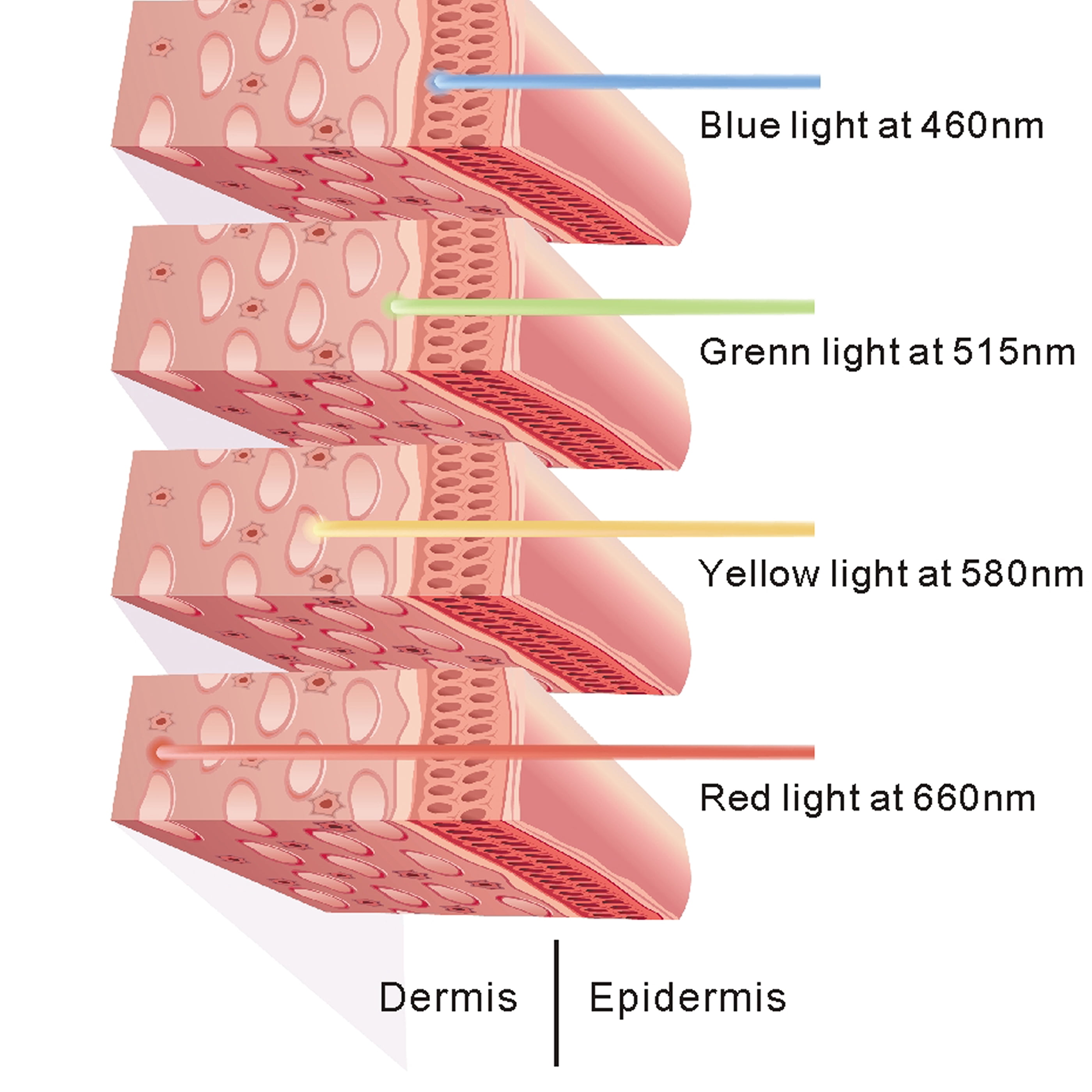 DGXINJUN Red Light Bulbs Lamp for Skin Care Home Use