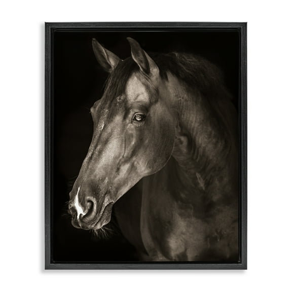 Stupell Industries Strong Stallion Horse Portrait Black Framed Floater Canvas Wall Art design by Marcus Prime, 21 x 17