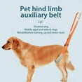 thumbnail image 2 of POINTERTECK Pet Dog Lift Harness Pet Rear Legs Support Aid Sling For Elderly Dog With Poor Stability  Back Leg Hip Disabled Joint Injury, 2 of 6