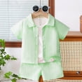 thumbnail image 4 of NIEWTR Toddler Boy’s Button Down Shirt and Shorts Set 2 Piece Casual Outfit Soft Breathable Cotton Summer Clothes for Daily Activity(A1-Light Green,2-3 Years), 4 of 5